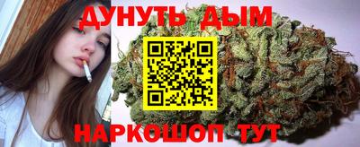амф Кингисепп