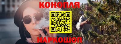 амф Кингисепп