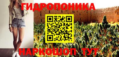 Альфа ПВП Кинель
